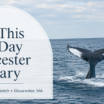 Feature image for “Save This Half-Day Gloucester Itinerary” showing a humpback whale tail during a Cape Ann Whale Watch in Gloucester, Massachusetts.