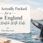 New England whale watch packing guide with a humpback whale tail, backpack, snacks, and coastal lighthouse.